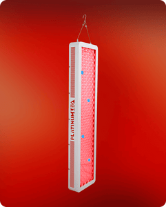 bio-600_3